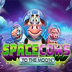 Space Cows To The Moon